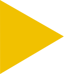 European-Arteast-yellow-440